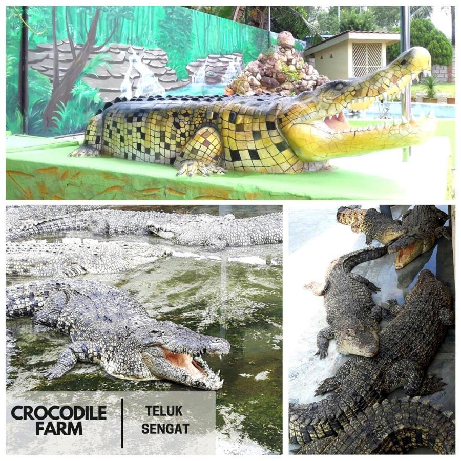 Desaru, Bayu Balau Beach Resort Bandar Penawar Eksteriør billede